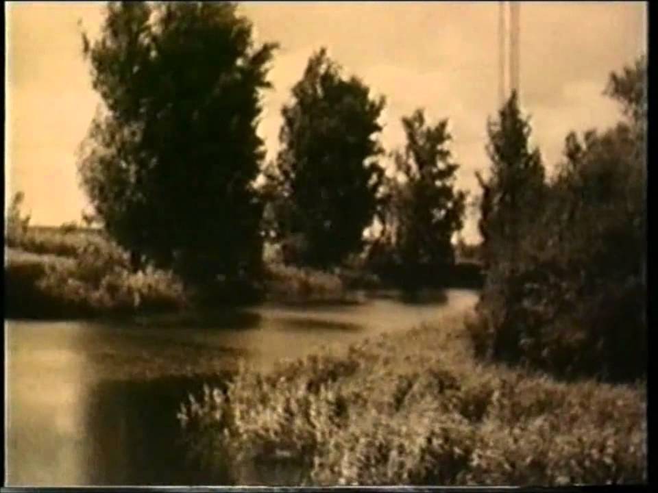 Geertruidenberg en haar bewoners 1952