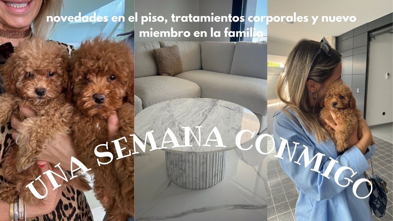 WEEKLY: Tratamiento corporal, nuevos muebles en el piso, organización y nuevo miembro en la familia