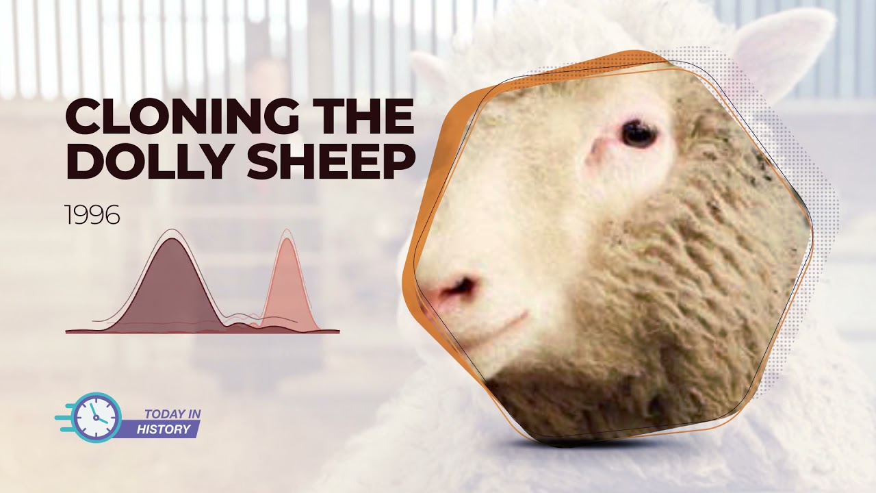 Today in History - Jul 5 - Cloning The Dolly Sheep (1996)