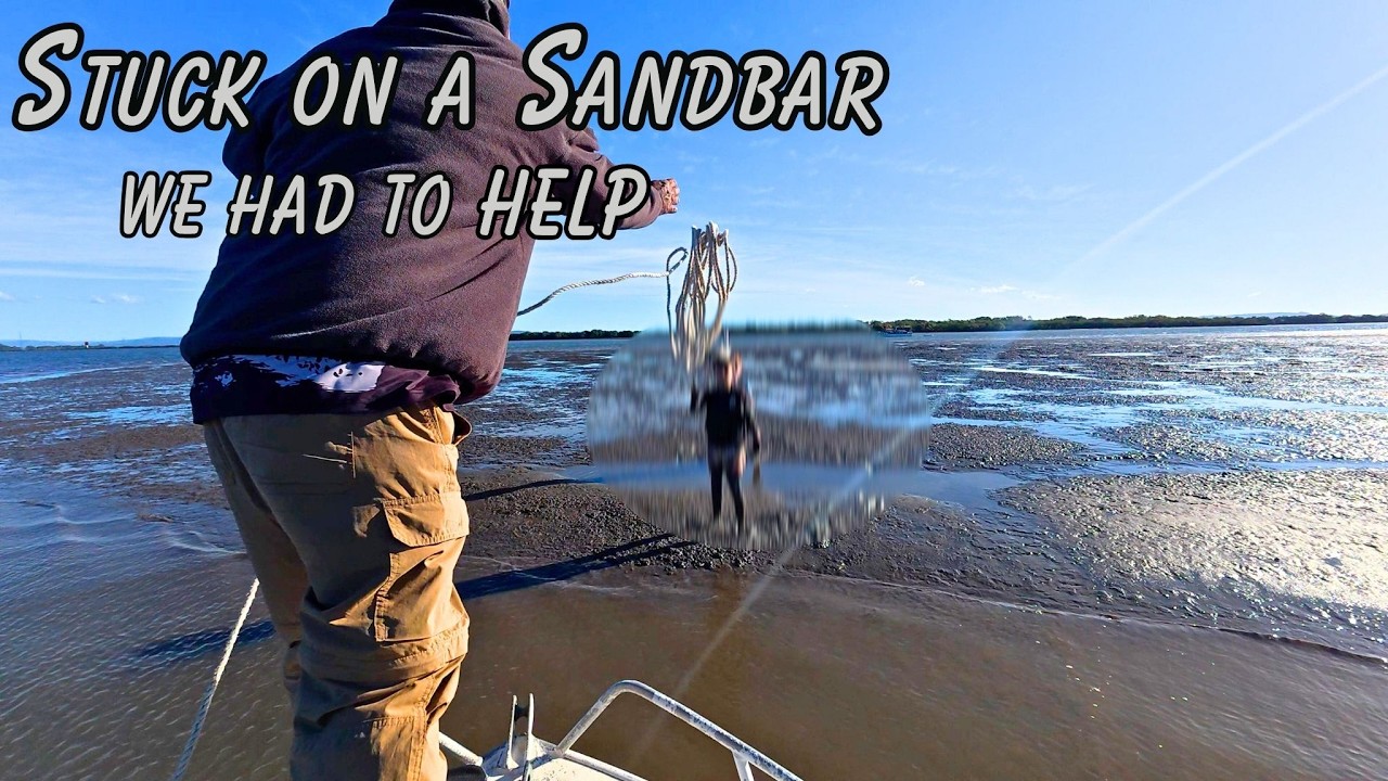 Unexpected Rescue Helping Kids