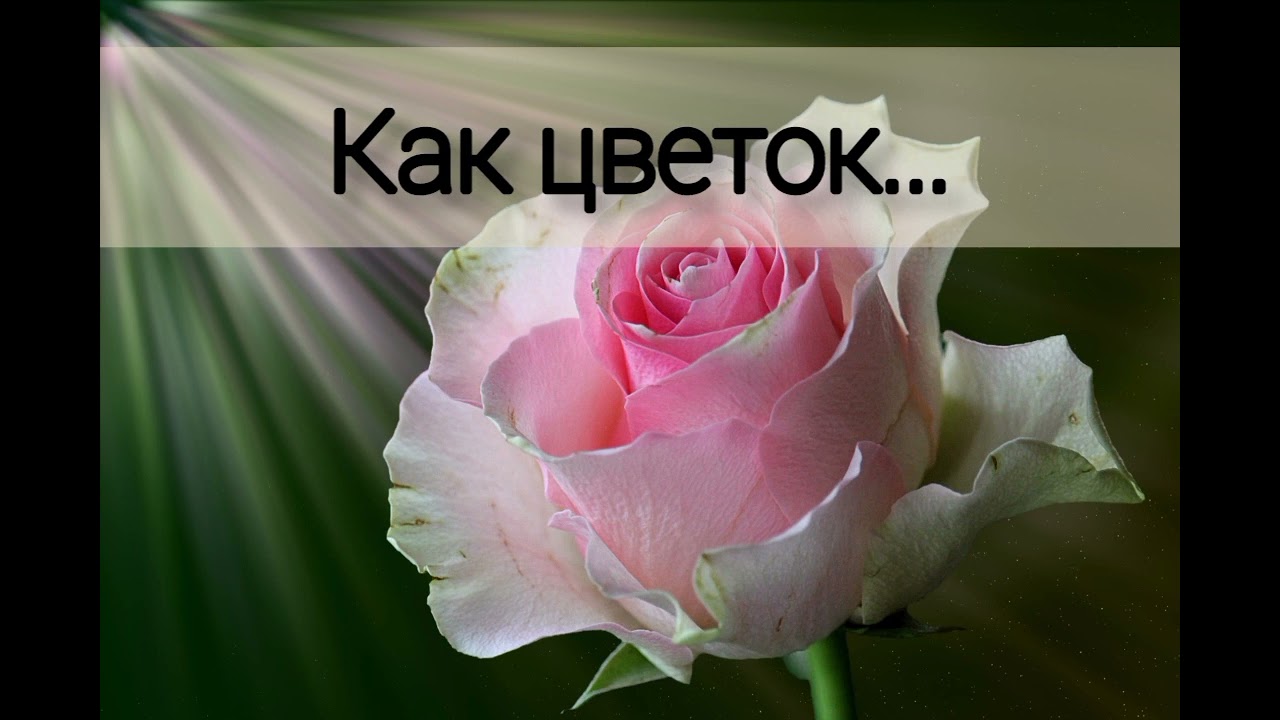 Как цветок - Христианская песня