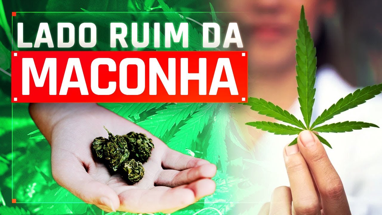 LADO BOM E LADO RUIM DO USO DA MACONHA