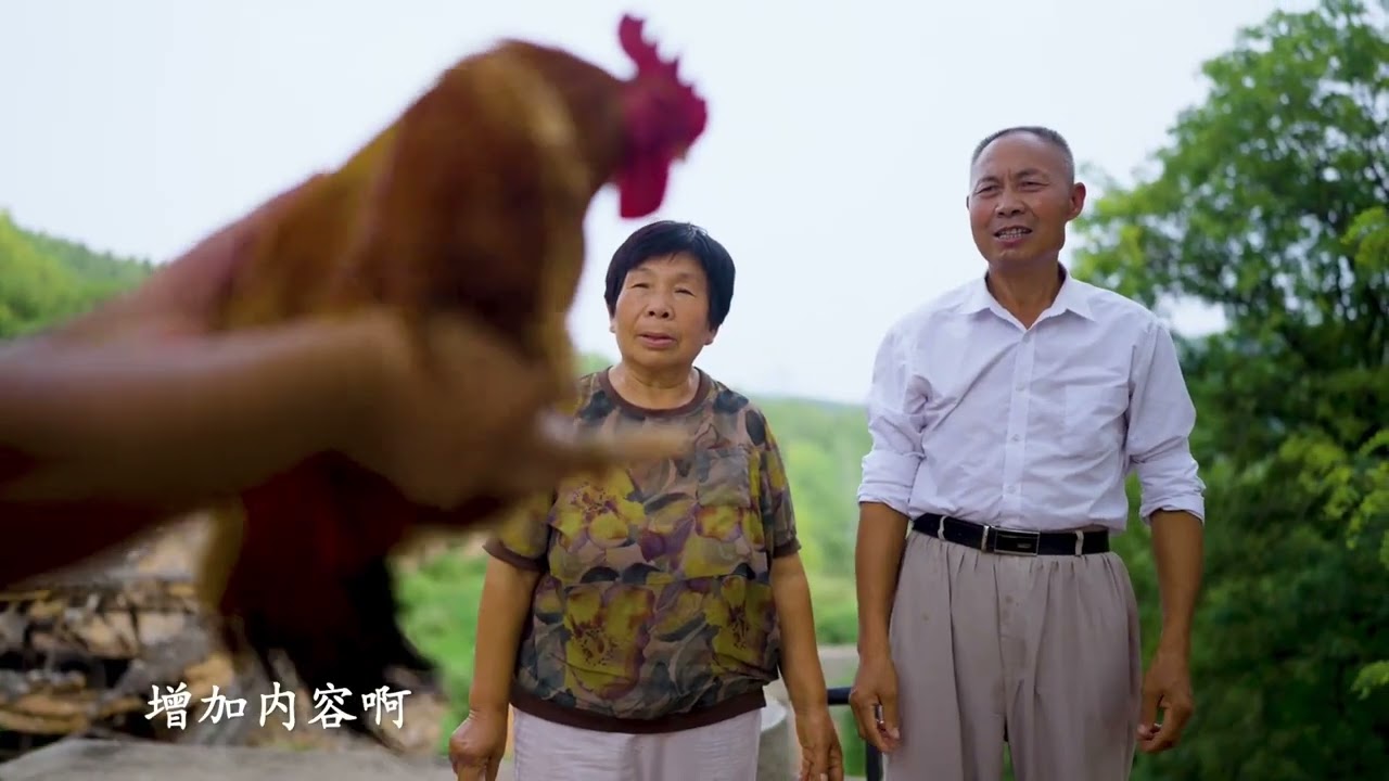 In the flickering of the stove fire the chicken gizzard lining pancake a delicacy from Hen