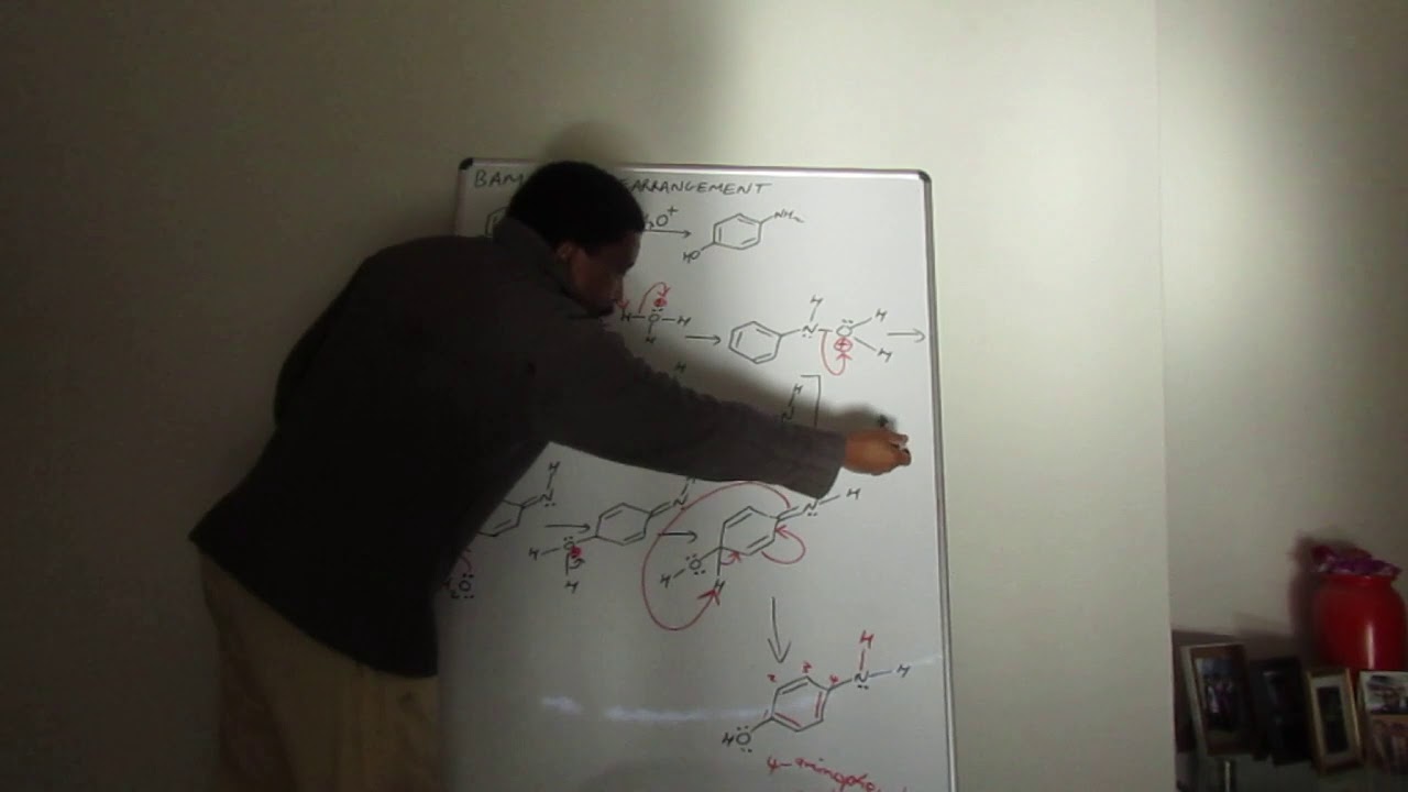 BAMBERGER REARRANGEMENT 2 Compressed