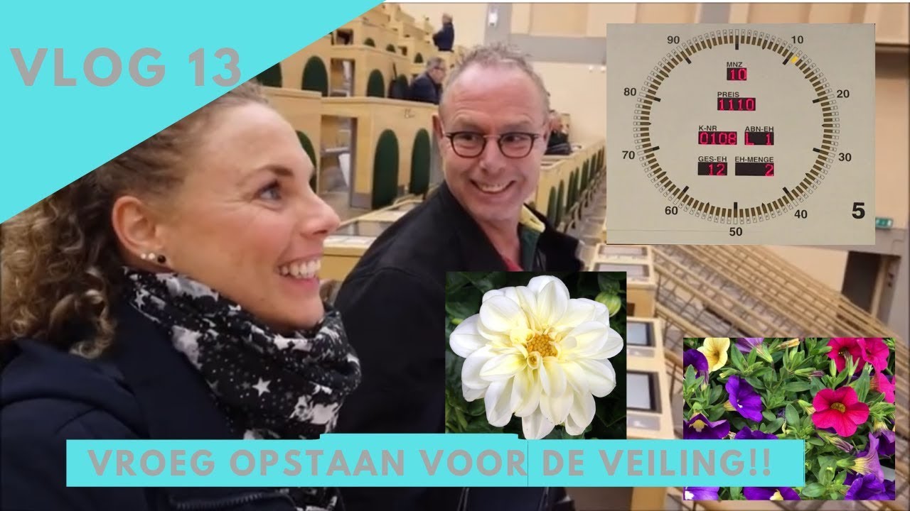 Dagje mee met de veiling!