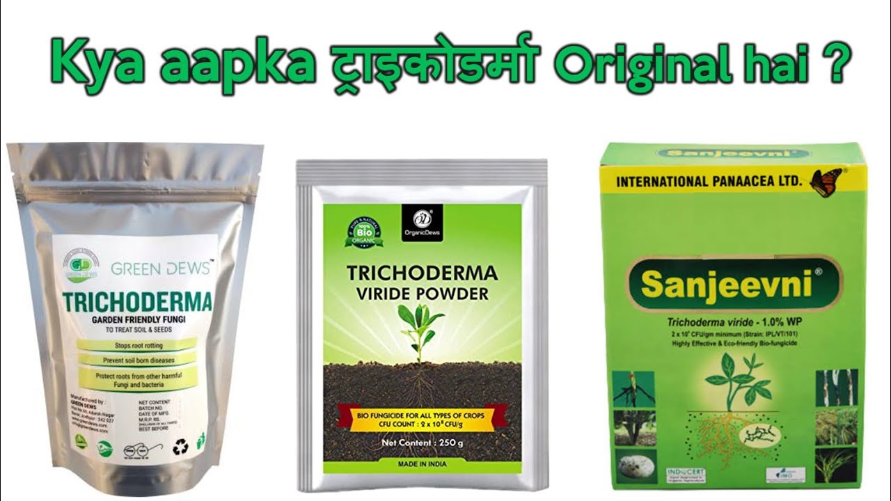 Duplicate या Original Trichoderma की पहचान कैसे करें ?