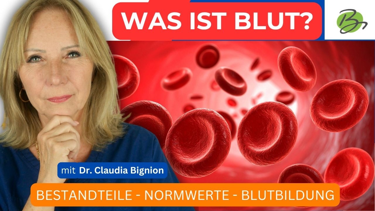 Blut: feste Bestandteile - Normwerte - Hämatopoese | Dr. Claudia Bignion