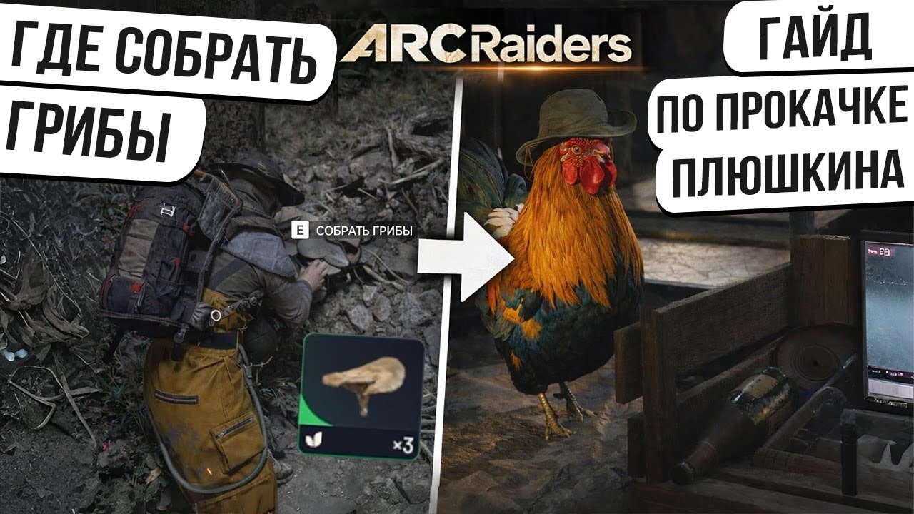 Где искать Грибы? Как прокачать Петуха Плюшкина в ARC Raiders — полный гайд