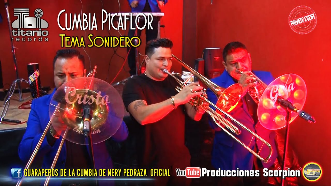 Nery Pedraza y los Guaraperos de la Cumbia 🎙️ La Cumbia Picaflor 🌹