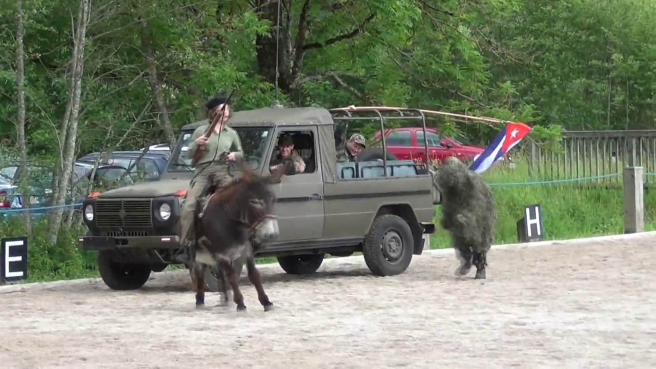 Donkey and Jeep funny Show Che Guevara