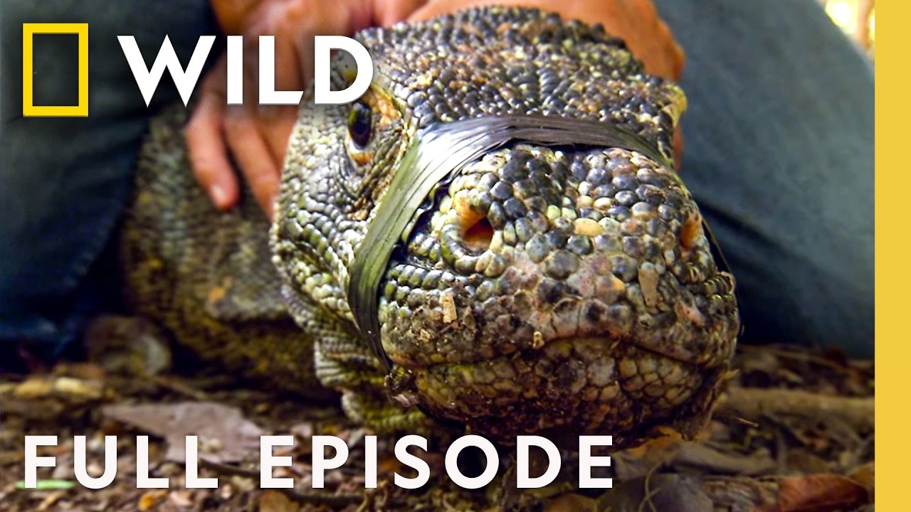 Searching for Cold-Blooded Killers (Full Episode) | Man v. Monster | Nat Geo Animals