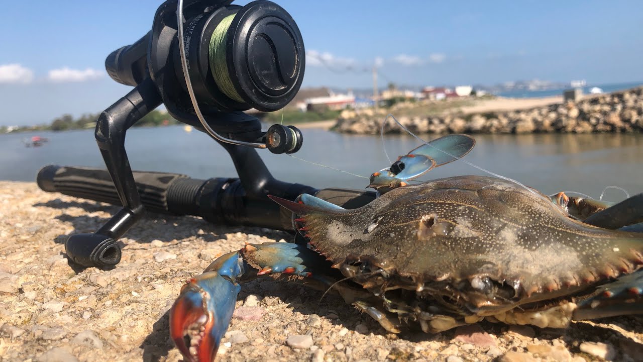 Pesca y cocina de CANGREJO AZUL!!
