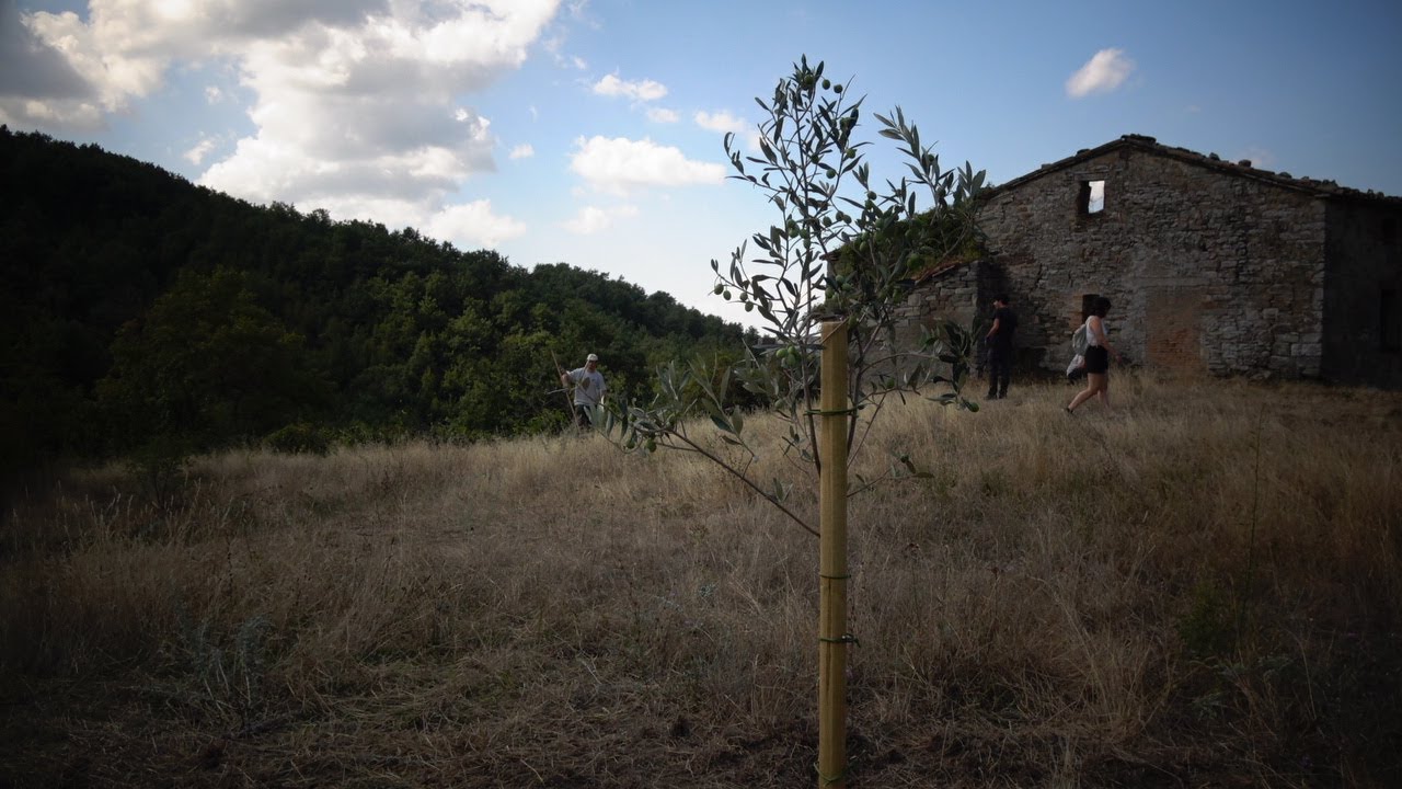 I volontari di Estate liberi a lavoro sui beni tolti alle mafie, Libera: &laquo;Cicatrici su territorio&raquo;
