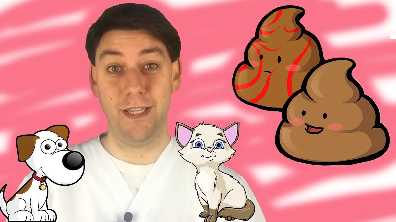 La CACCA del tuo cane e del tuo gatto è sana?