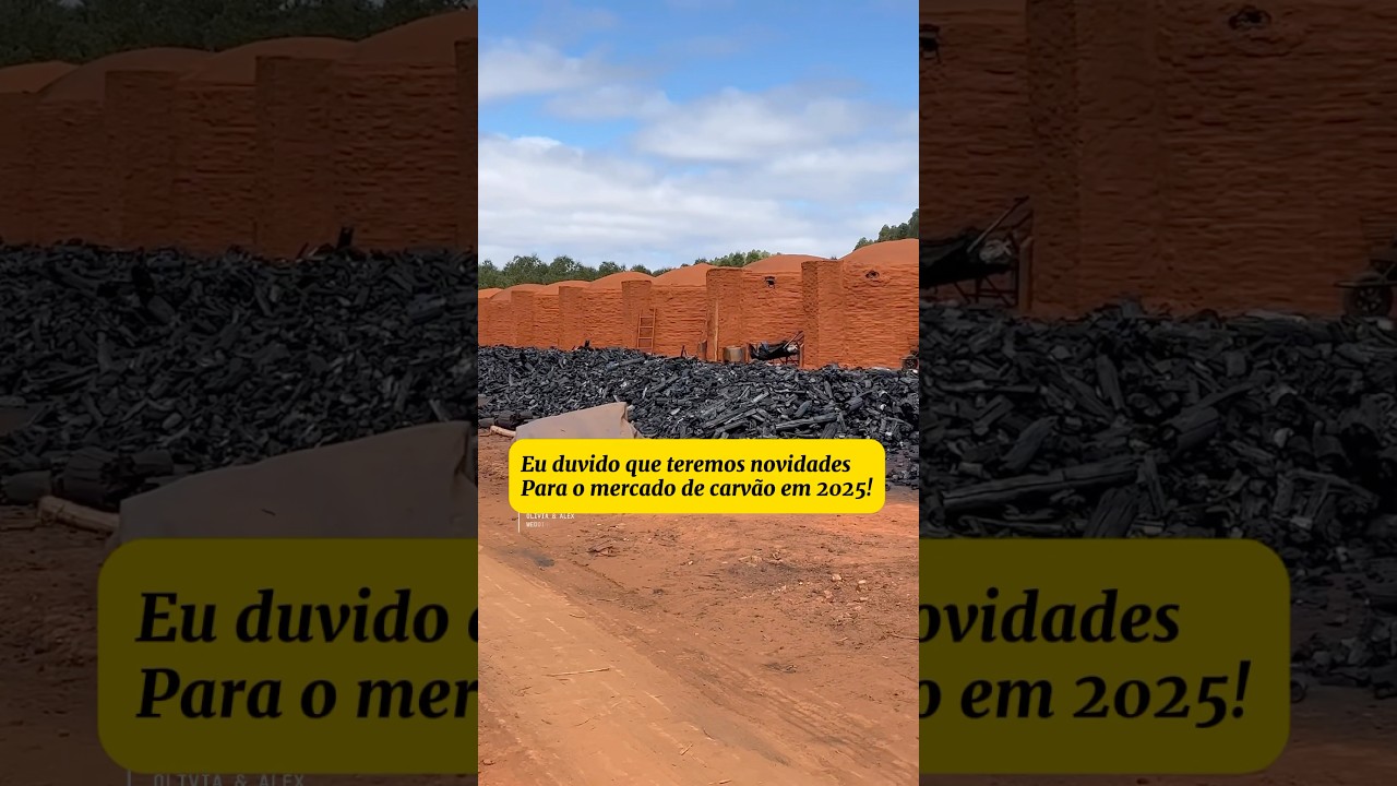 As novidades em carv&atilde;o para 2025 #carvao #agro #florestas