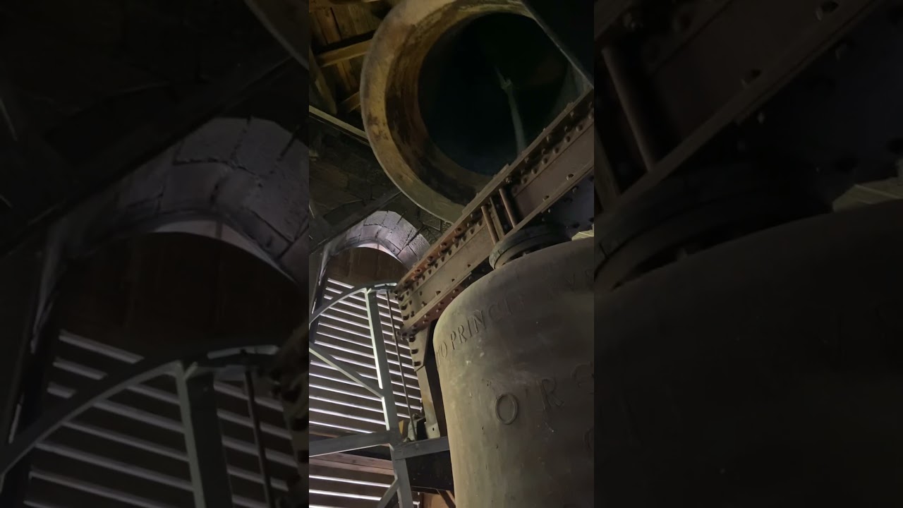 Das Nordturmplenum der Stiftskirche in Neustadt an der Weinstra&szlig;e