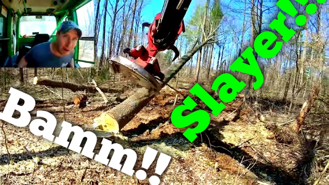 Brutus hits Slayer Mode!!!