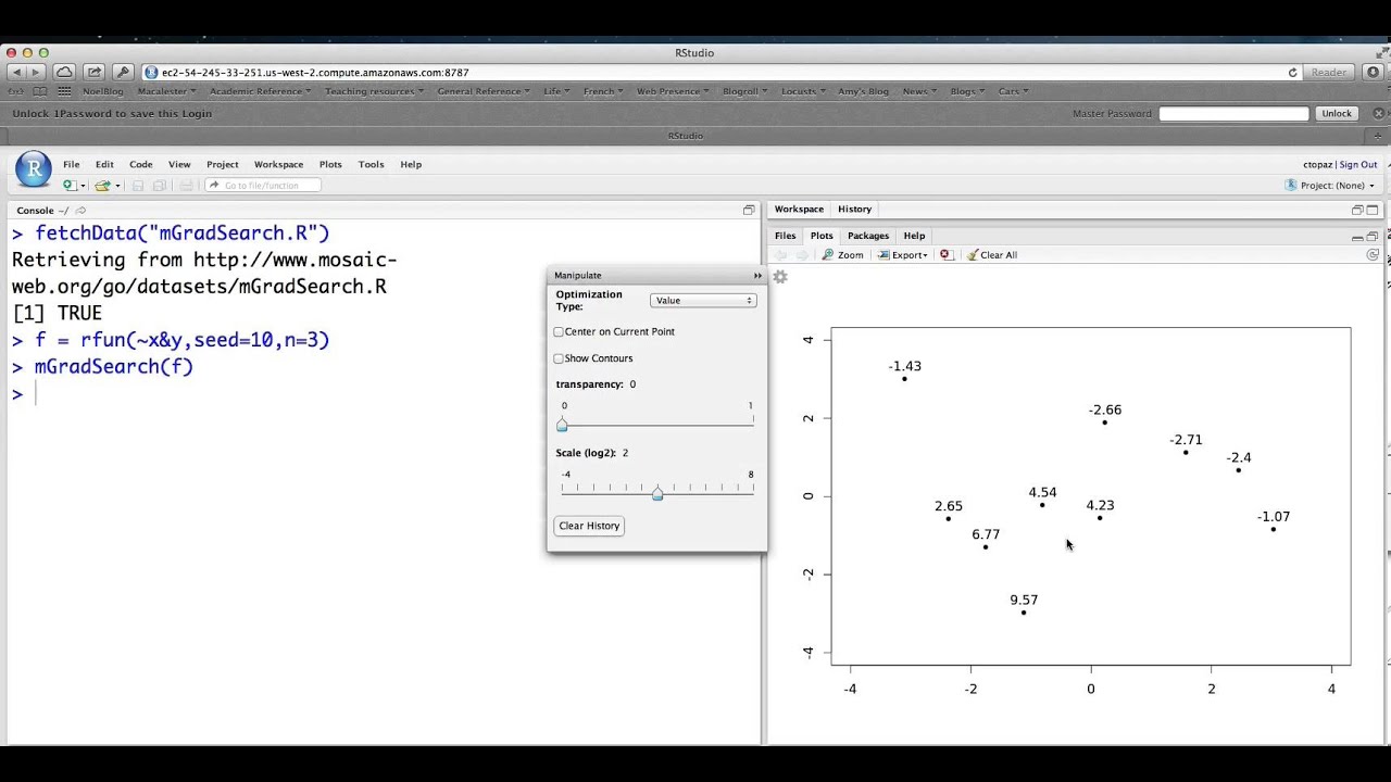 Gradient search in R