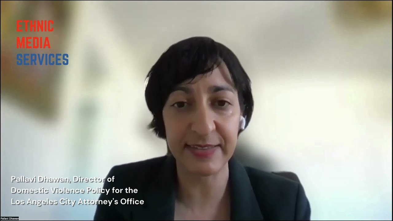 Coercive Control is Domestic Violence