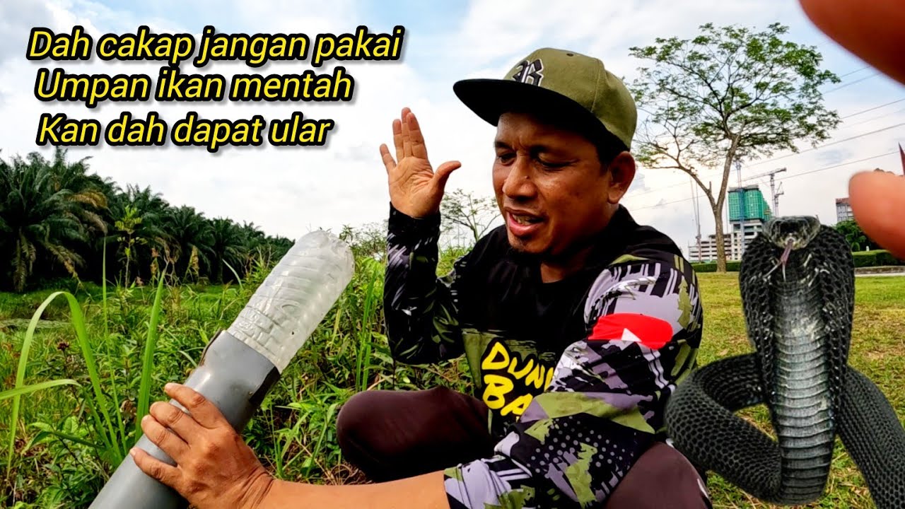 Tahan Tukir Belut Dapat Ular Besar//Joki beraksi #gengdunia 