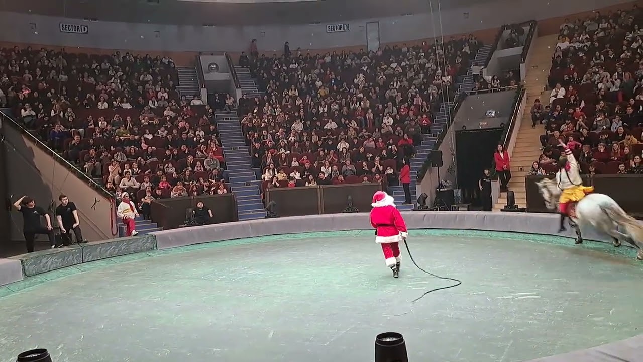 С Новым годом! С годом Лошади!