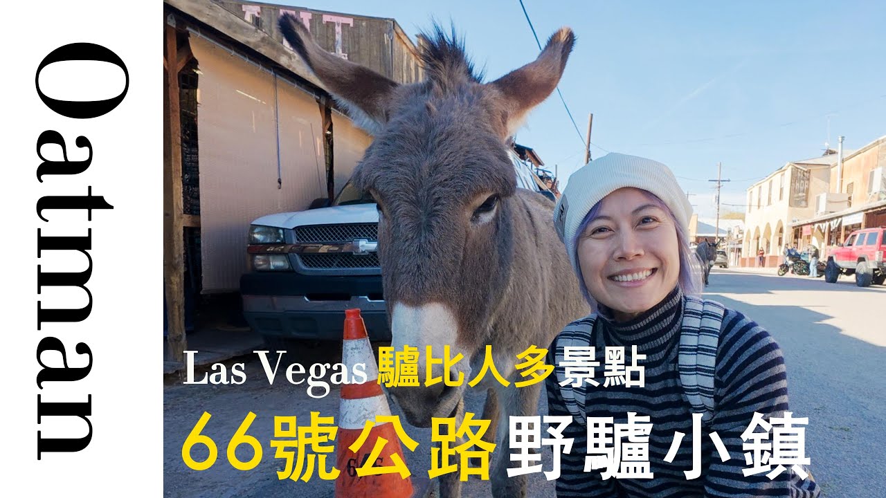 66號公路上的西部小鎮 Oatman｜被野驢佔領的小鎮