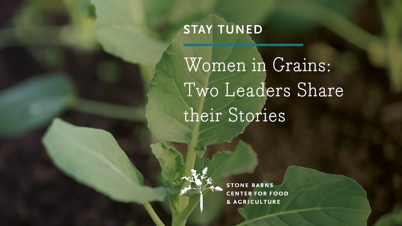 Women in Grains: Two Leaders Share Their Stories - 2018 Young Farmers Conference