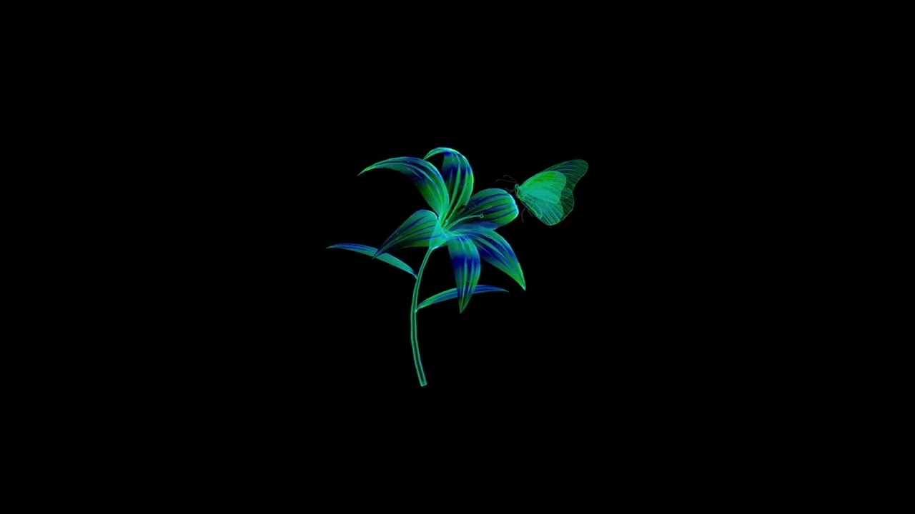 18th Avenue - Frozen (Nikolas K Remix) [Visualizer]
