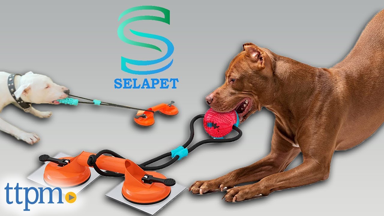 SELAPET Suction Cup Tug Toy
