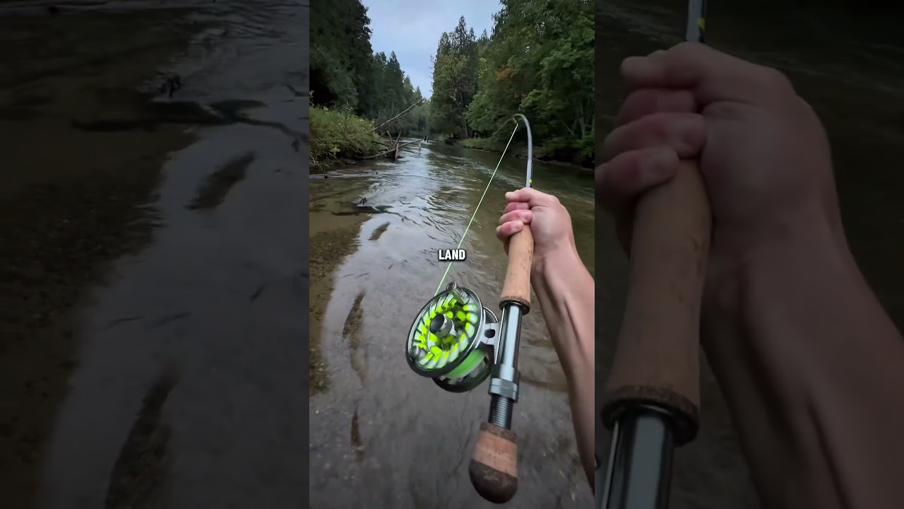 On today&rsquo;s episode of river monsters #flyfishing #kingsalmon #chinooksalmon  #trout