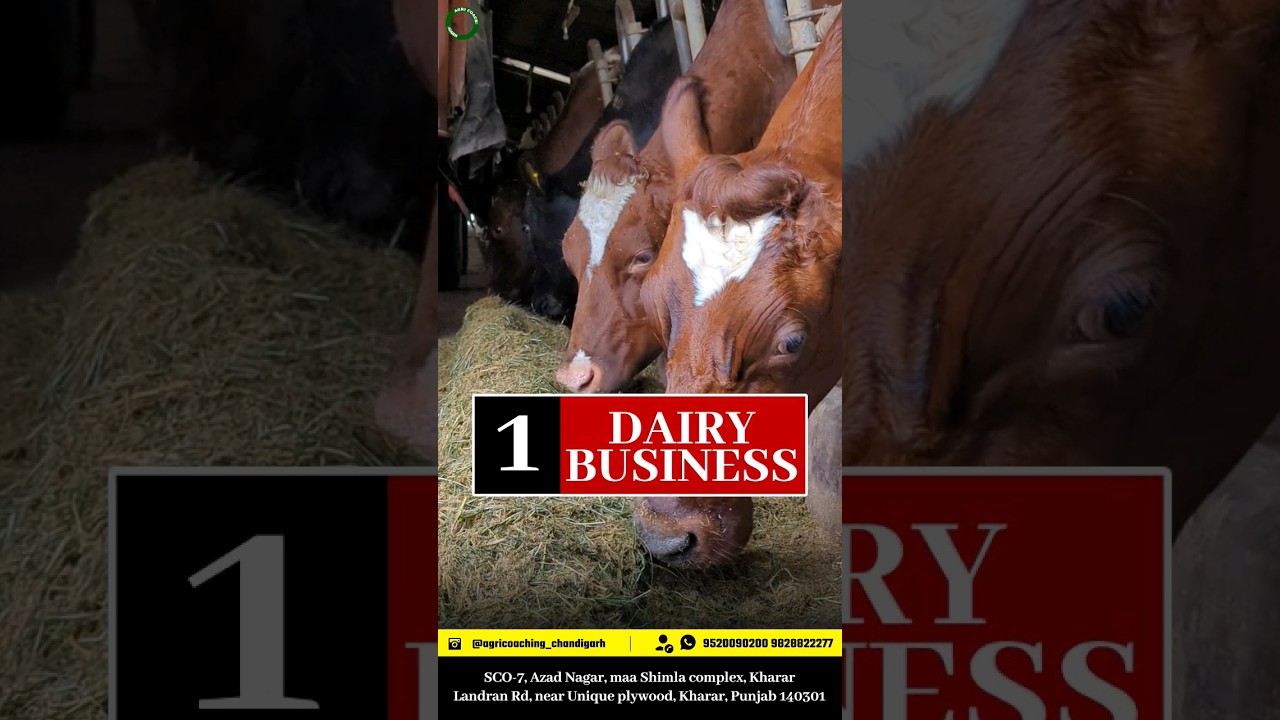 TOP-5 Agri Business ideas 💡