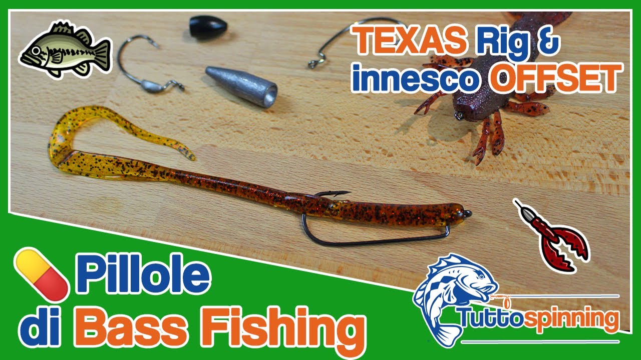 TEXAS RIG & INNESCO su AMO OFFSET 💊 Pillole di Bass Fishing