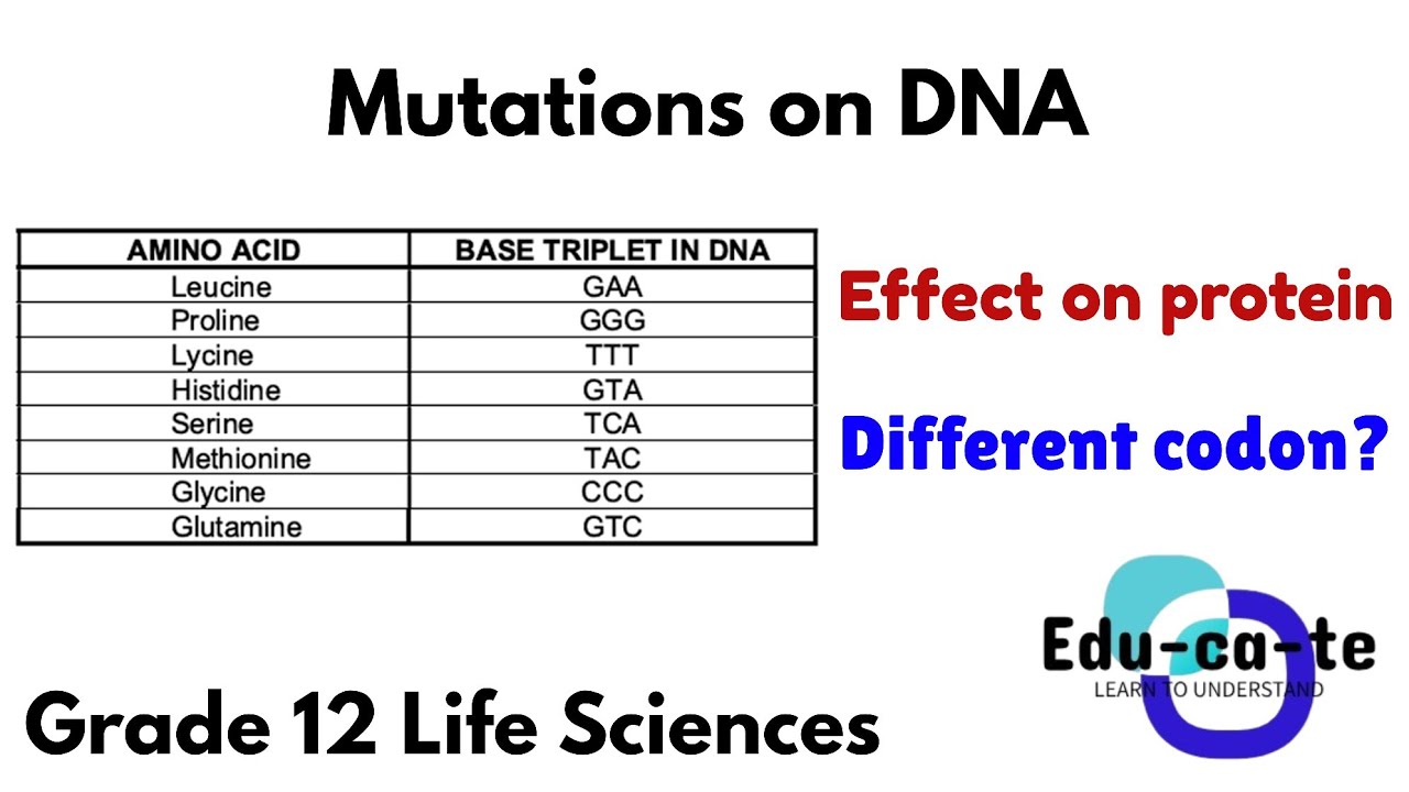 Mutations on DNA - Grade 12 Life Sciences