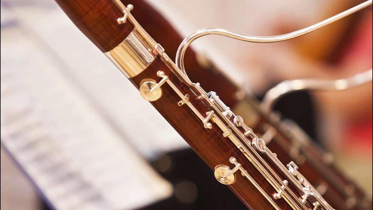 Johann David Heinichen - Sonata for Oboe, Bassoon and Basso Continuo in G Minor