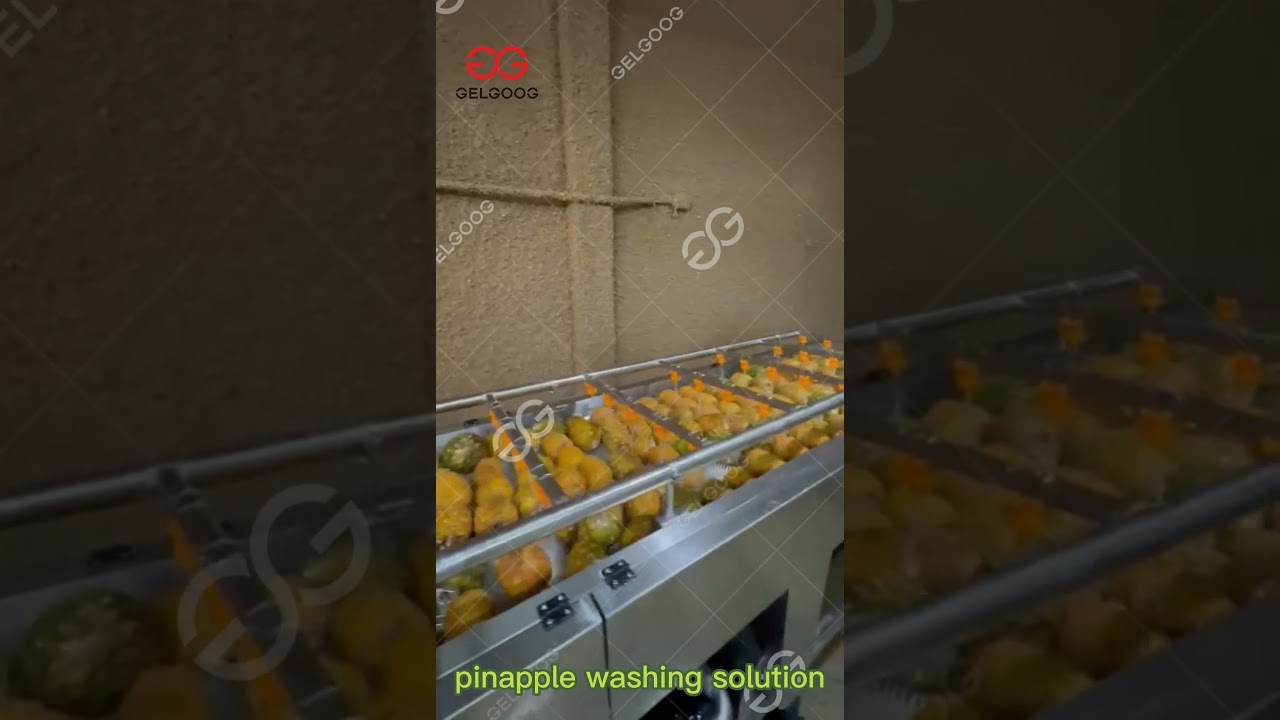 Pineapple Cleaning Machine Pineapple Processing Machinery