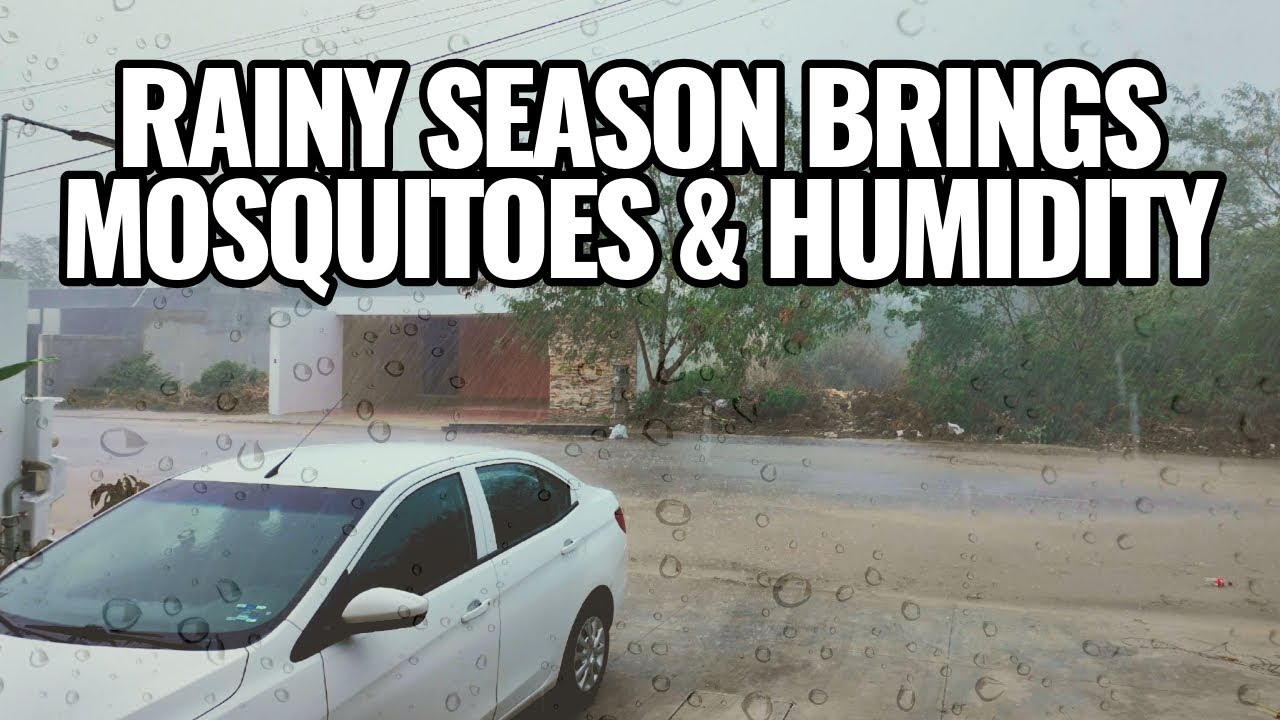 What to Expect in Merida During Rainy Season