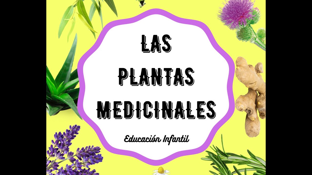 Las plantas medicinales en Educación Infantil