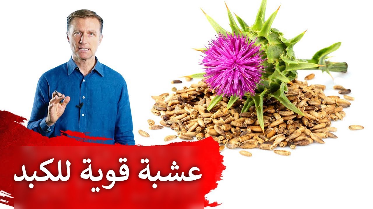 أقوى عشبة أنصح بها دائما لصحة الكبد