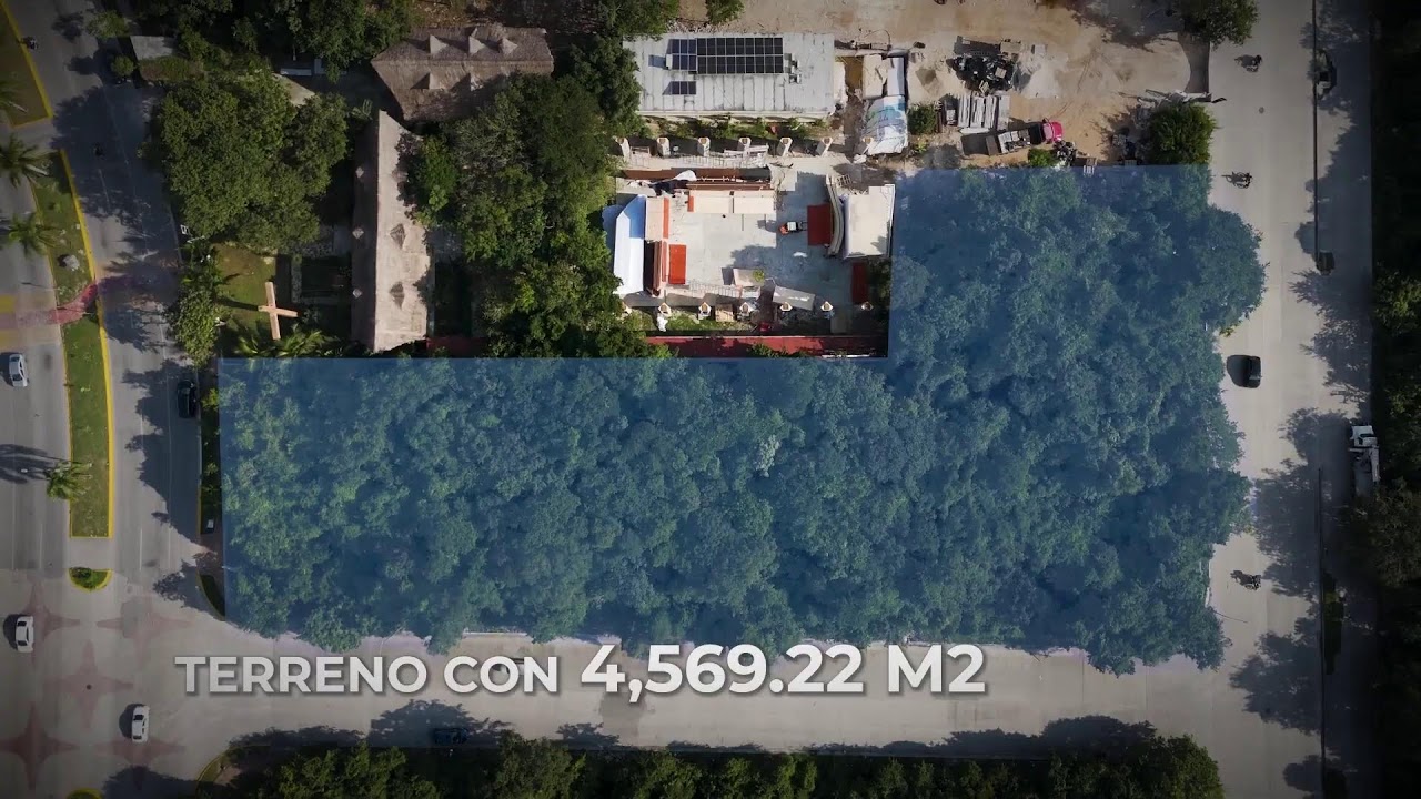 El Reporte Monigote 13 de Marzo