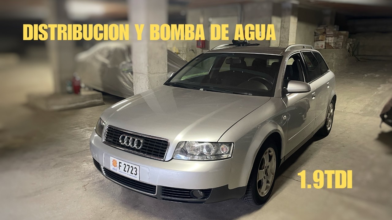 Como CAMBIAR CORREA de DISTRIBUCION Audi A4 1.9 TDI B6 B7