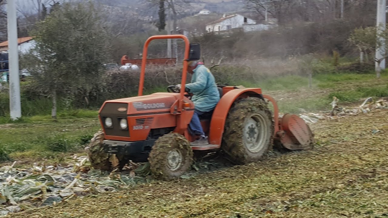 TRINCIATURA FOGLIE RESIDUE CAVOLFIORI 2018 | GOLDONI 3050 DT + Trinciasarmenti MASCHIO