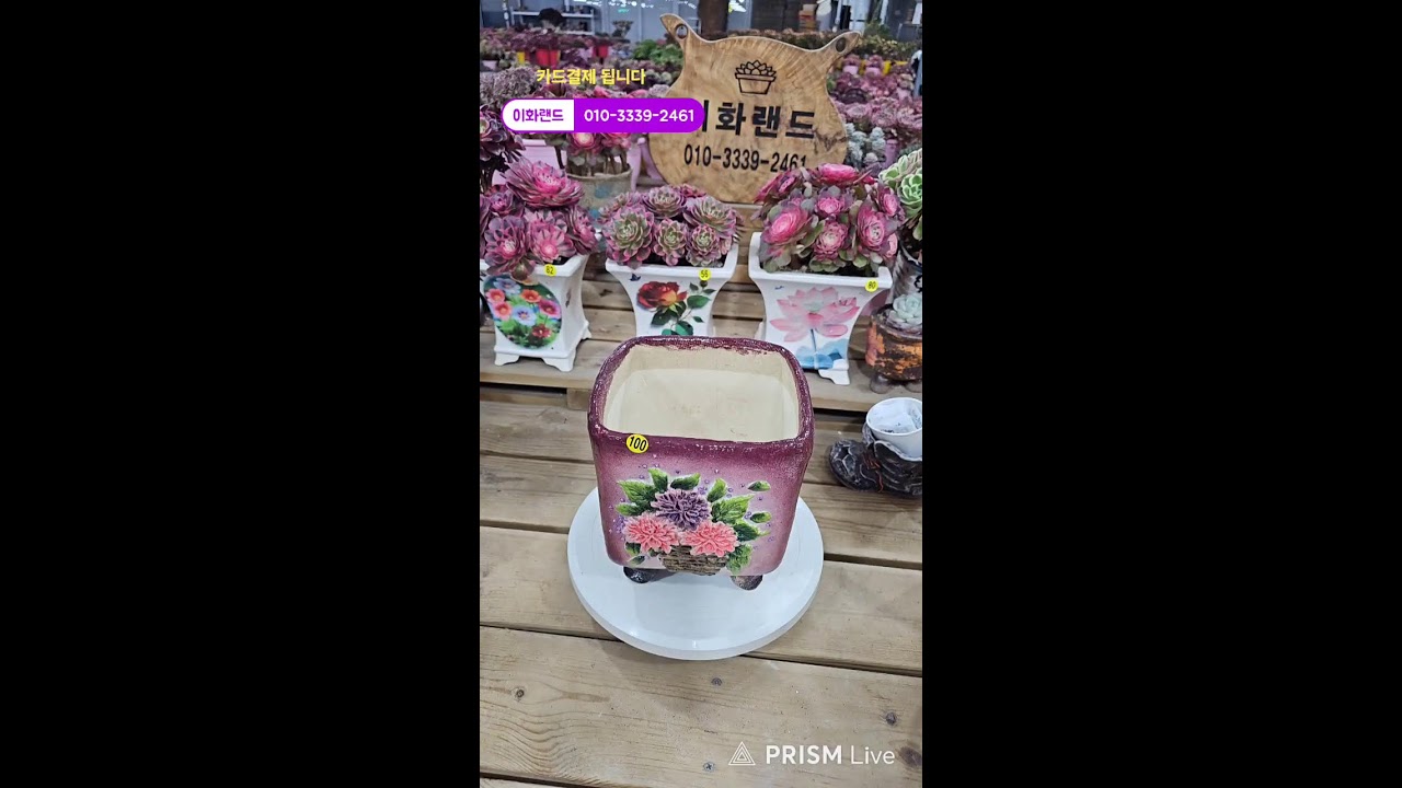 다남다육 (이화랜드) 라이브 스트리밍 중010-3339-2461문자주세요. 인천계양구이화동258-1