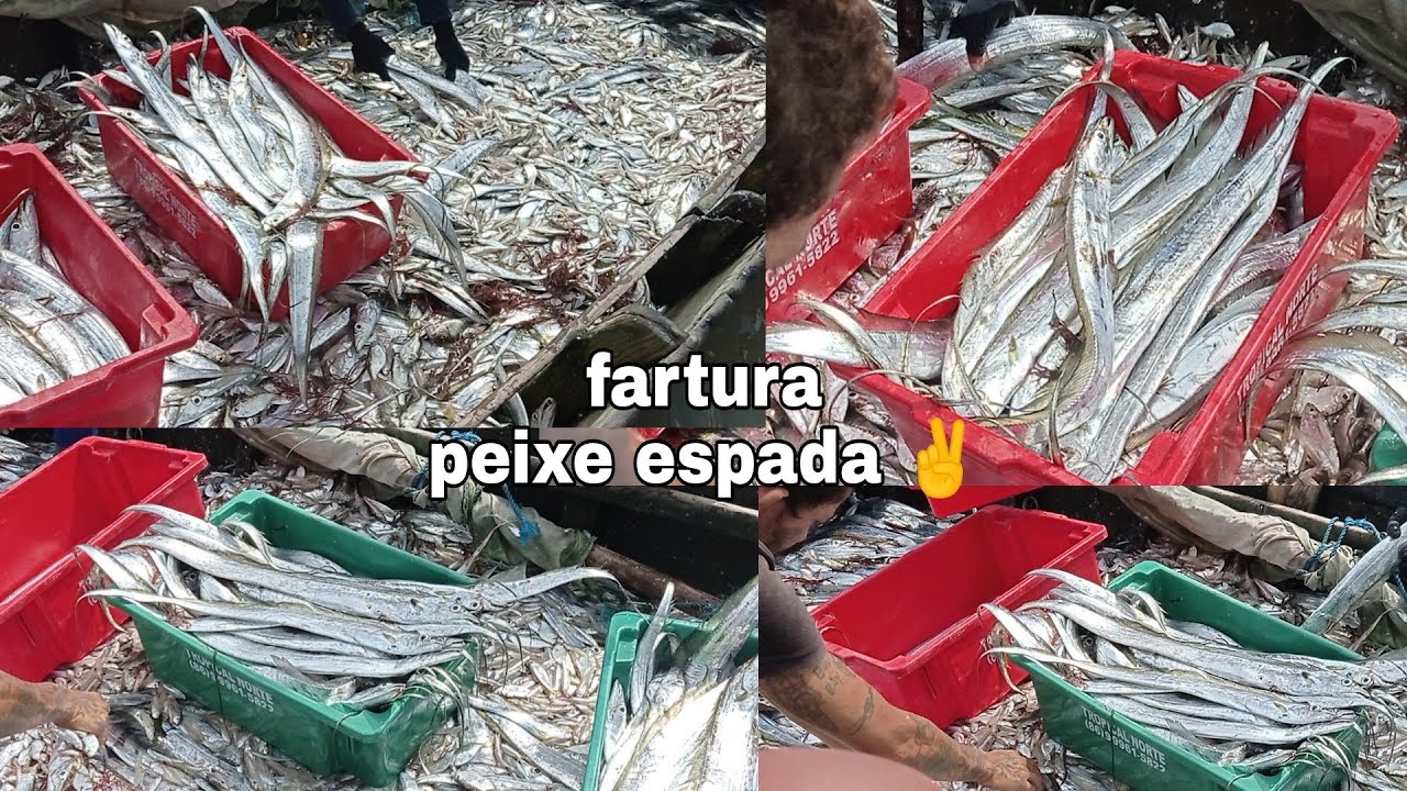 Fartura de espada na praia de bitupíta 