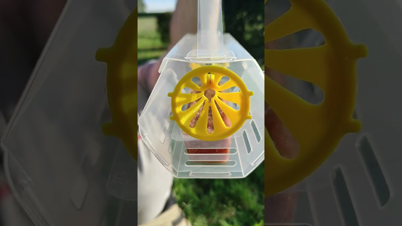 VespiGuard V2 - Piège Frelons Asiatiques