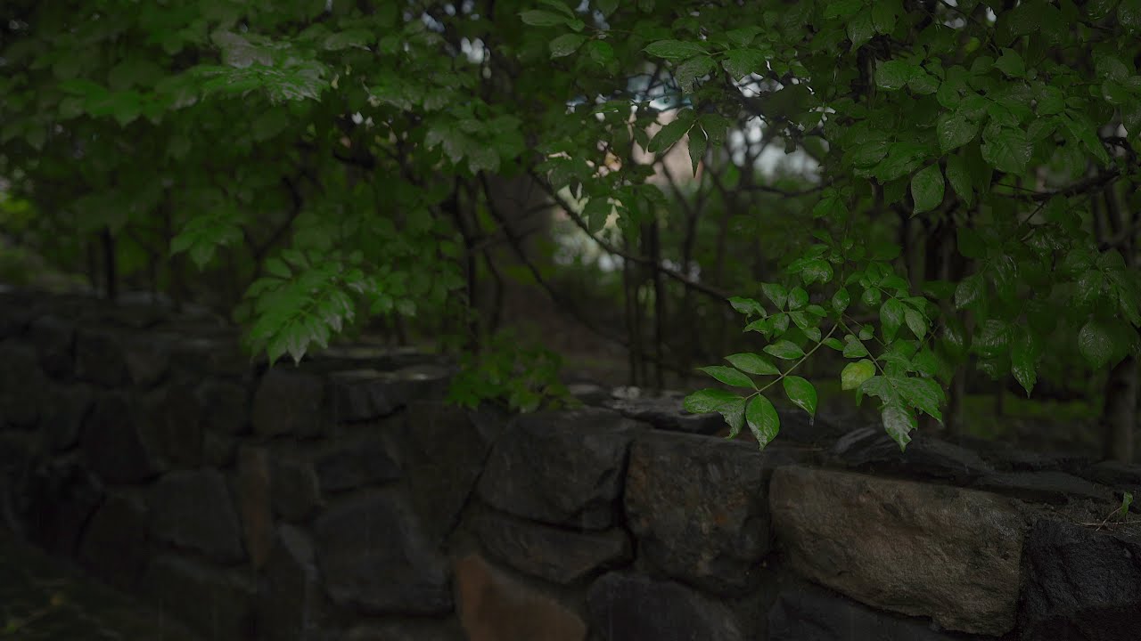 Heavy Rain Sounds for Sleeping White Noise ASMR