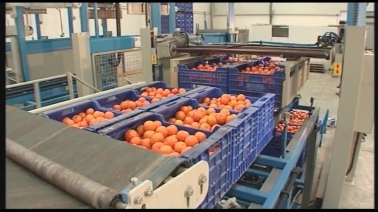 Sienz   Despaletizador   volcador de 6 cajas   6 crates depalletizer tipper
