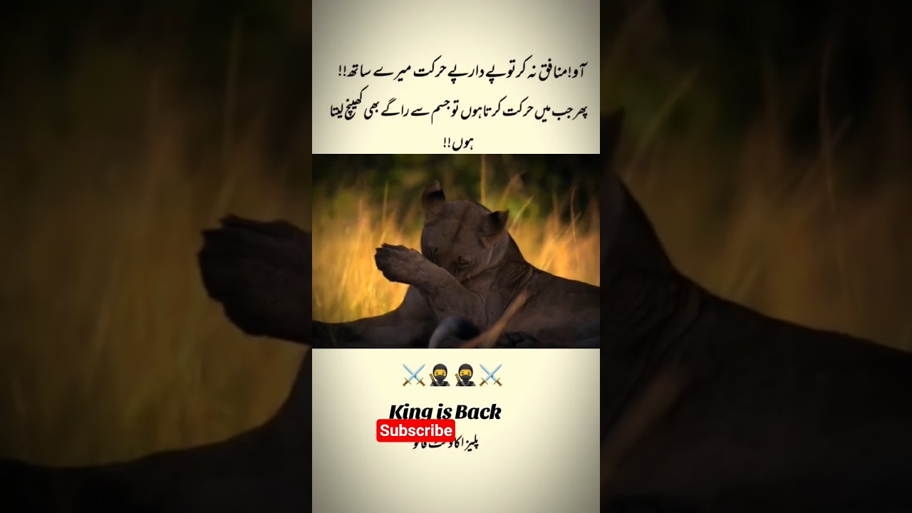 oye munafik na kar | to war pay dar pay | video 56 | 