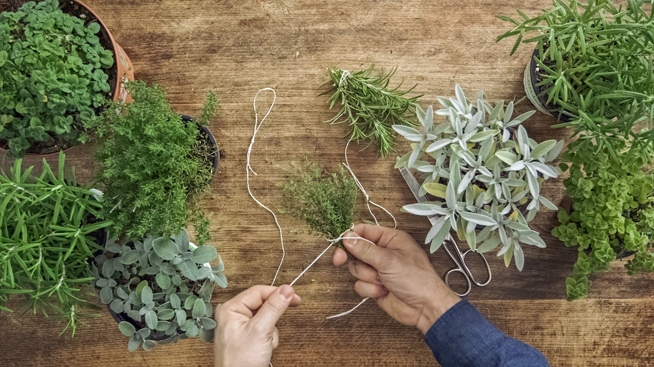 How-to: essiccare le erbe aromatiche, come rosmarino, timo, origano & affini | FOOBY