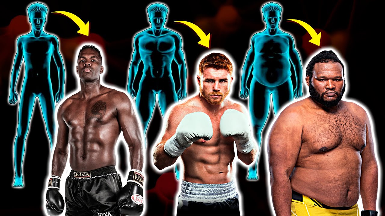 ESTILO DE COMBATE en FUNCIÓN DEL CUERPO | Alberto Barberá