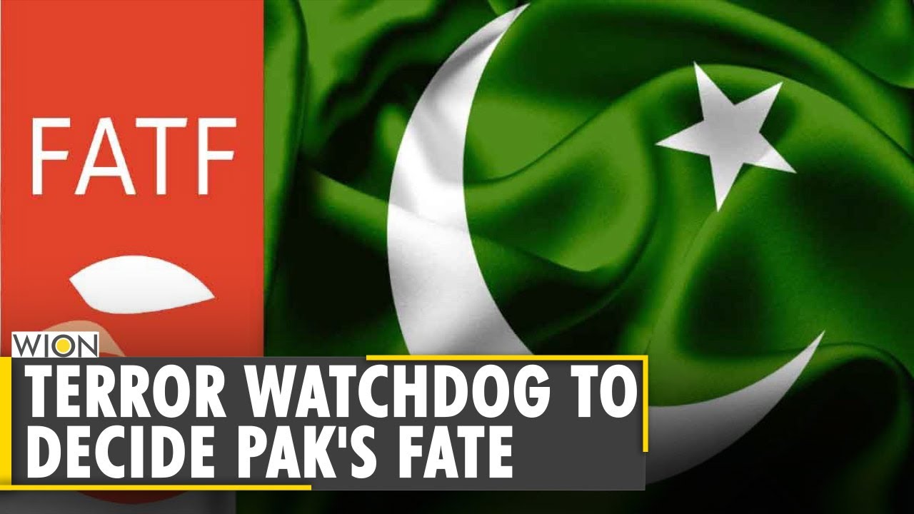 Pak FM Qureshi says no justification to keep Pakistan on FATF's grey list| Latest English News| WION